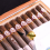 EXOTICA ROBUSTO LONG FILLER BOX OF 10 BUNDLING COFFEE ROBUSTA