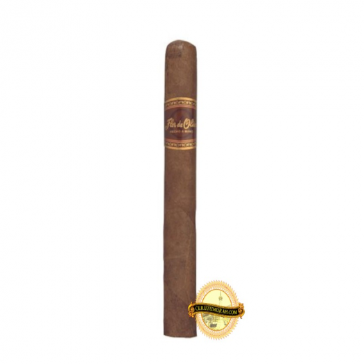 FLOR DE OLIVA CHURHCILL