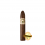 HERRERA ESTELI NORTENO PYRAMIDE FINO